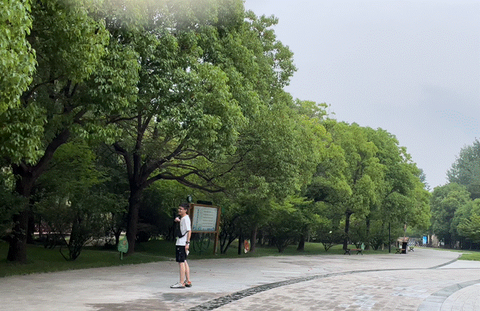 01 图为实践队员欣赏杨树博物馆两侧挺拔杨树。中国青年网通讯员 陈梦圆 摄