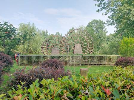 img_20190705_085521