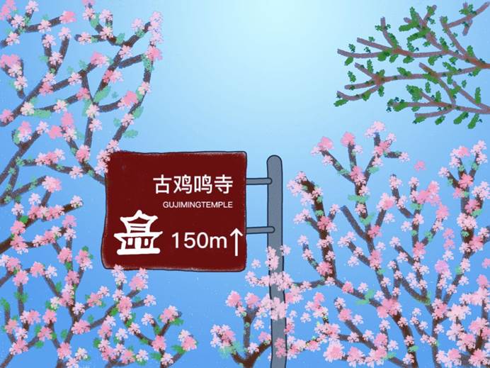 鸡鸣繁樱 王文英